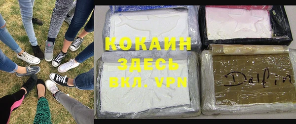 мдпв Коряжма