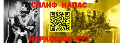 прущие грибы Гагарин