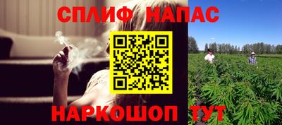 бошки Гай