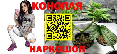 герыч Гатчина