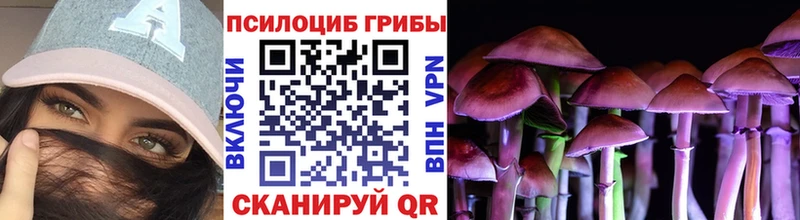 Псилоцибиновые грибы мухоморы  Коммунар 