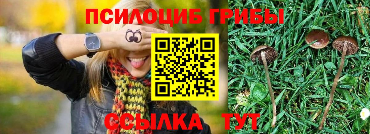 Коммунар  Галлюциногенные грибы мухоморы  Вход с VPN 