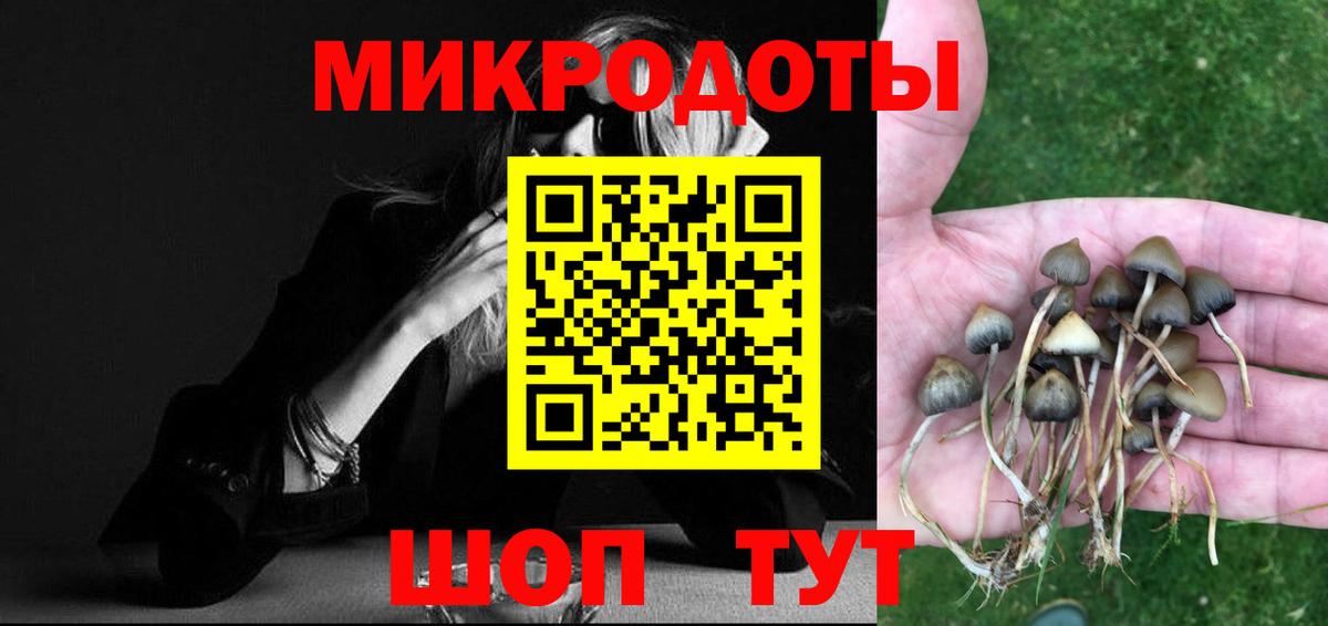 Галлюциногенные грибы мицелий Коммунар